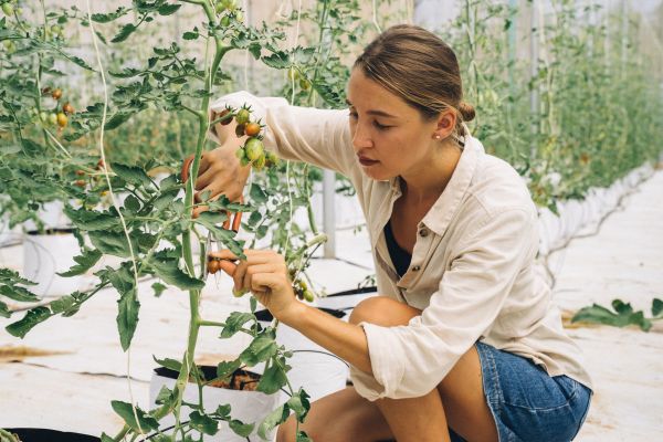 Comment les innovations transforment le jardinage ?
